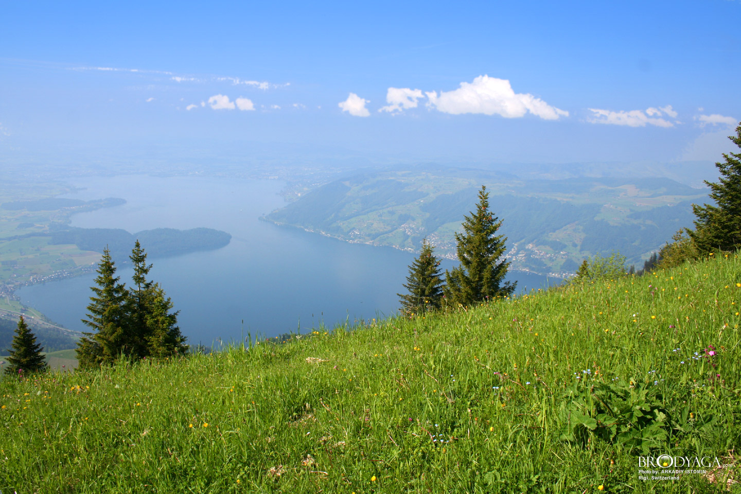 Rigi